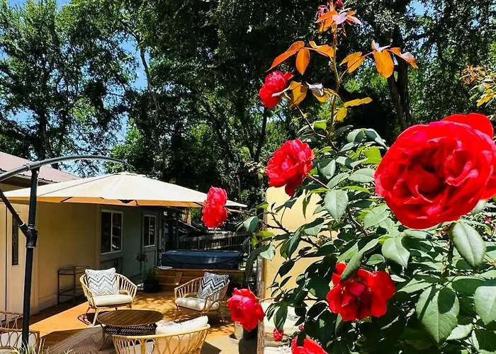 3br Serenehideaway Hottub 23minaustin Holiday home Round Rock